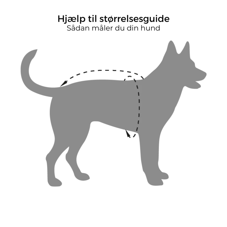 Lama Kostume til Hunde