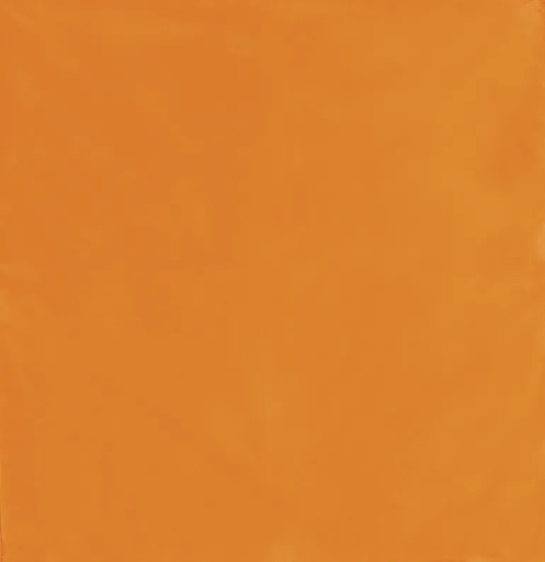 Orange Bandana