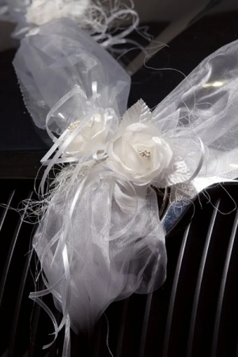 Organza bånd med blomster