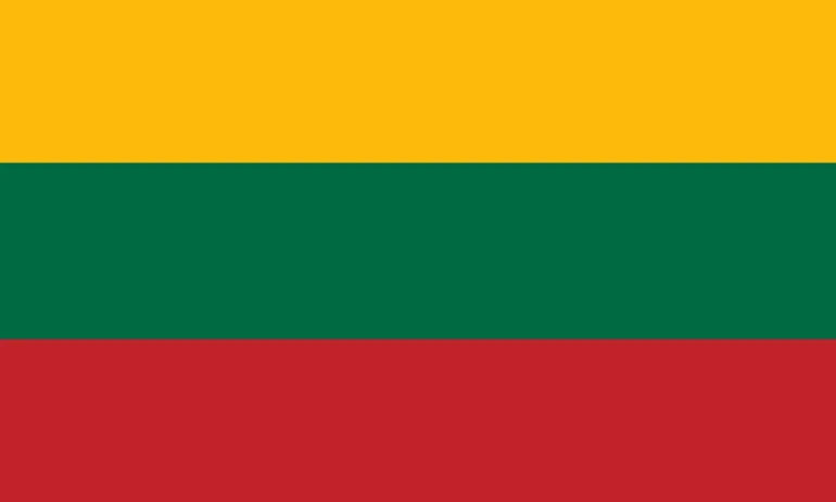 Stort Litauen Stof Flag, 90 x 150 cm