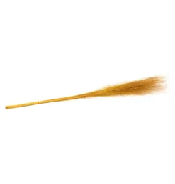 Tørret Gule Pohuehue 85-90 cm, 50 stk.
